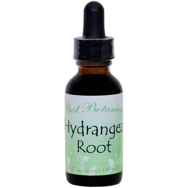 Hydrangea Root Extract | christophersoriginalformulas