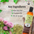 BF&C Shampoo