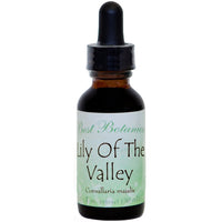 Lily Of The Valley Extract