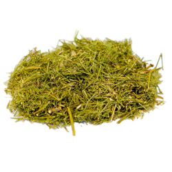 Brigham Tea Herb