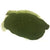 Chlorella Powder