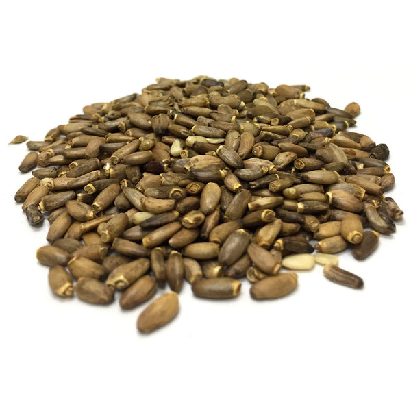 Milk Thistle Seed Whole