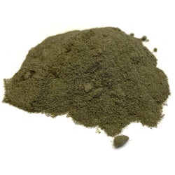 Squaw Vine Herb